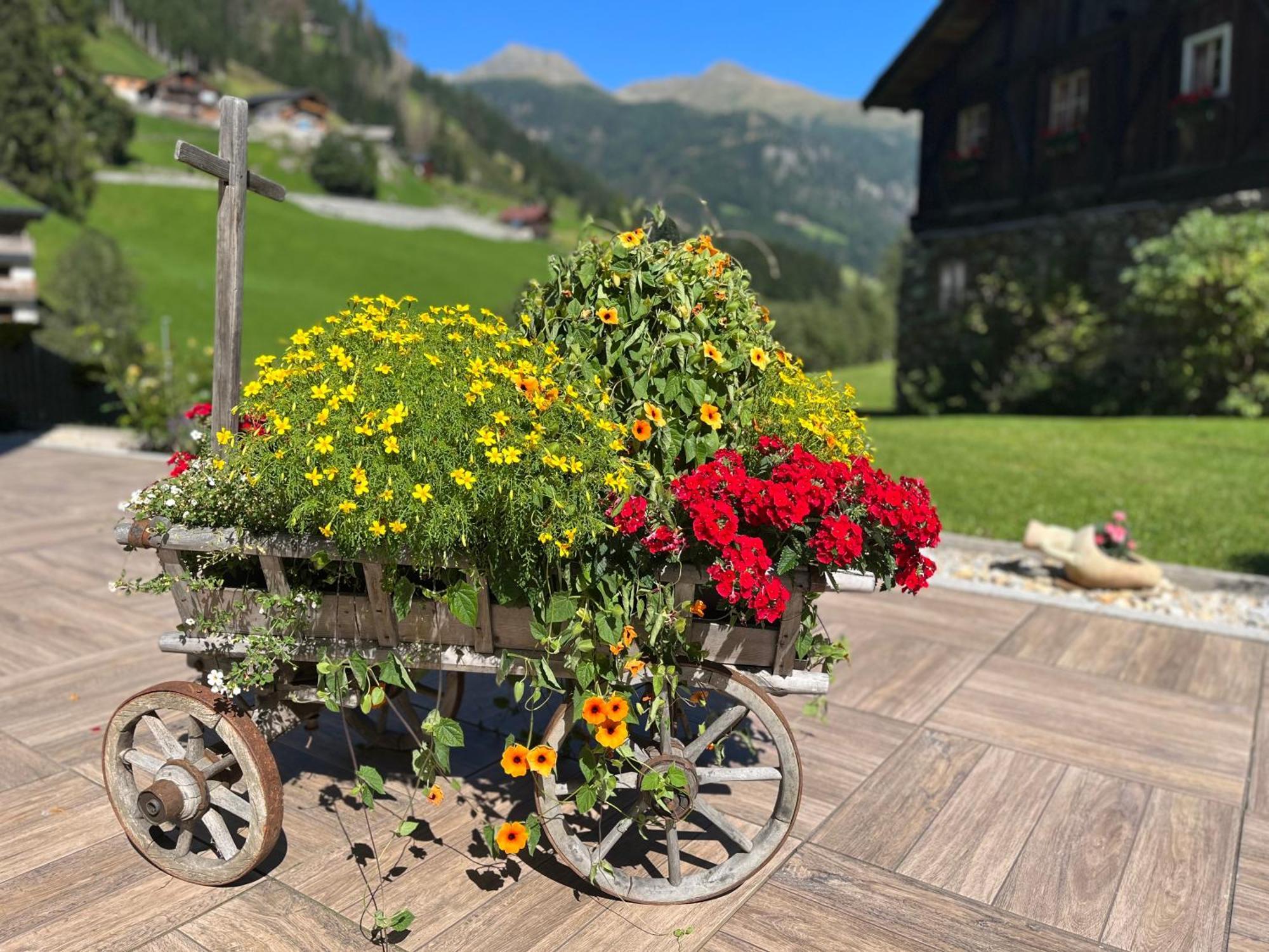 Hotel Garni Gruenmoos Sankt Jakob in Defereggen Kültér fotó